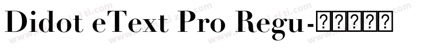 Didot eText Pro Regu字体转换